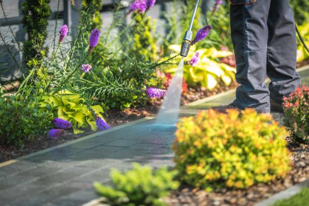 Best Sidewalk and Walkway Cleaning  in Glens Falls North, NY